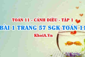 Bài 1 trang 57 SGK Toán 11 tập 1 Cánh Diều